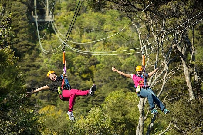 Waiheke Island: Zipline And Forest Walk - Who should book this experience?