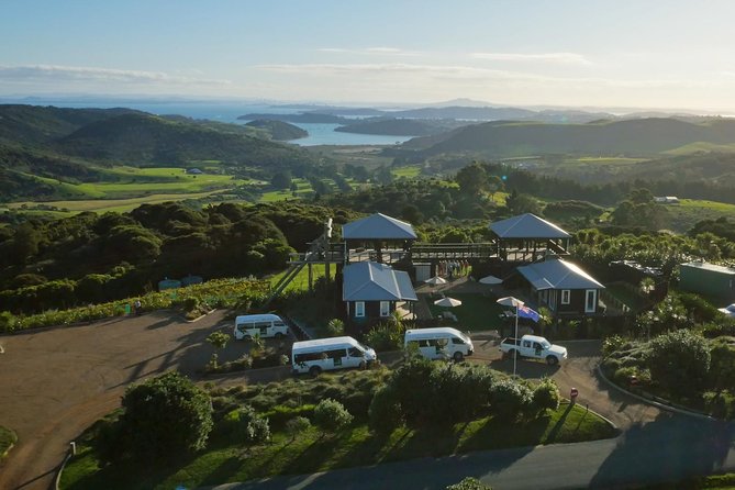 Waiheke Island: Zipline And Forest Walk - The minivan ride gives you Waiheke context