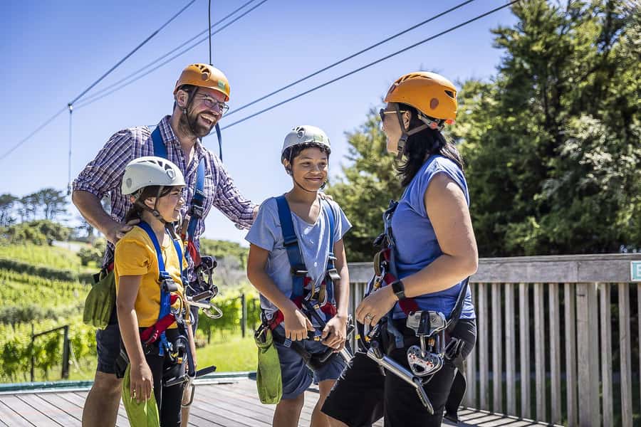 Waiheke Island: Zipline and Native Forest Adventure Trip - Should you book this Waiheke zipline tour?