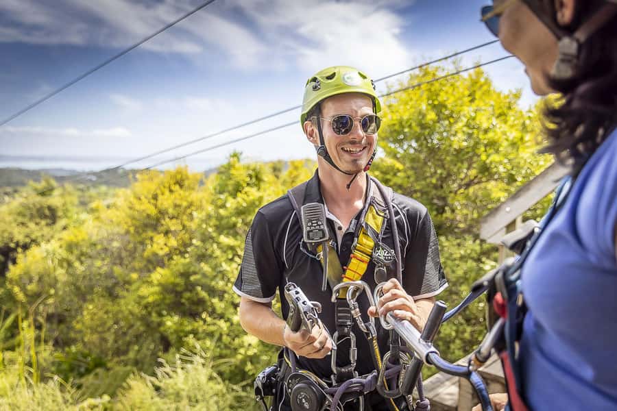 Waiheke Island: Zipline and Native Forest Adventure Trip - The 25-minute forest walk back