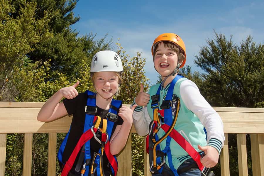 Waiheke Island: Zipline and Native Forest Adventure Trip - How safe and comfortable does it feel?
