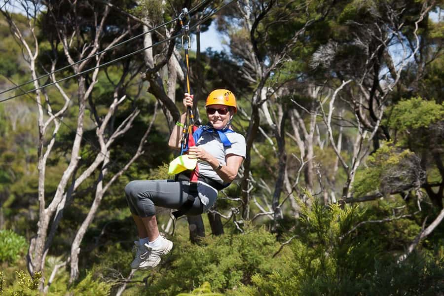 Waiheke Island: Zipline and Native Forest Adventure Trip - Who will enjoy EcoZip most?