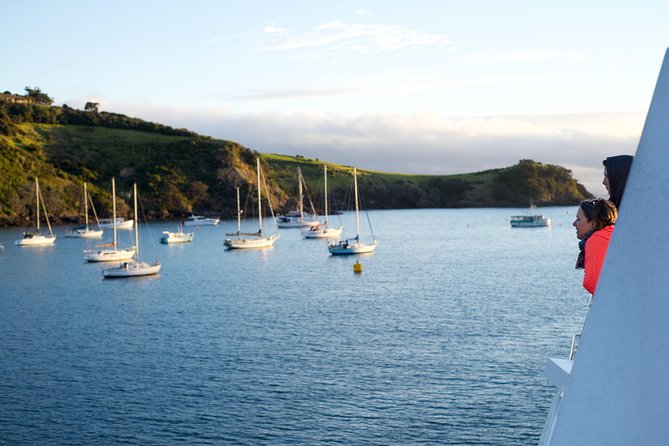 Waiheke Wine and Dine - Batch Winery - Batch Winery gives the day a proper center