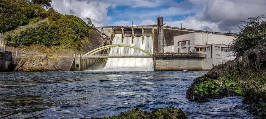 Waikato River: 1-Hour Ecological River Cruise - A one-hour look at the lower Waikato River