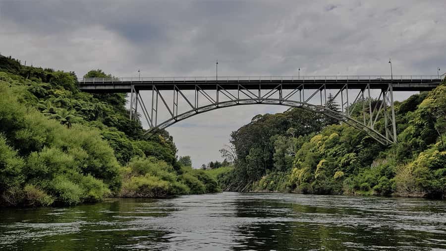 Waikato River: 1-Hour Ecological River Cruise - Cambridge Gorge and the river’s narrow passages