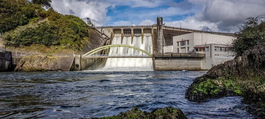 Waikato River: 1-Hour Ecological River Cruise - How much jet boat excitement should you expect?