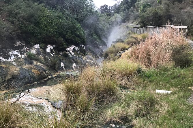 Waimangu Geothermal Valley & Lake Rotomahana Tour – 7hrs - Key points before you book