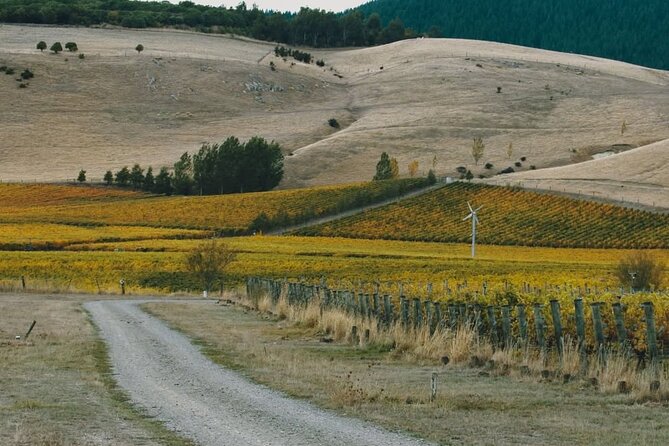 Waipara Valley Winery Tour Wine Tastings and Scenic Views - Pegasus Bay: A Strong First Pour
