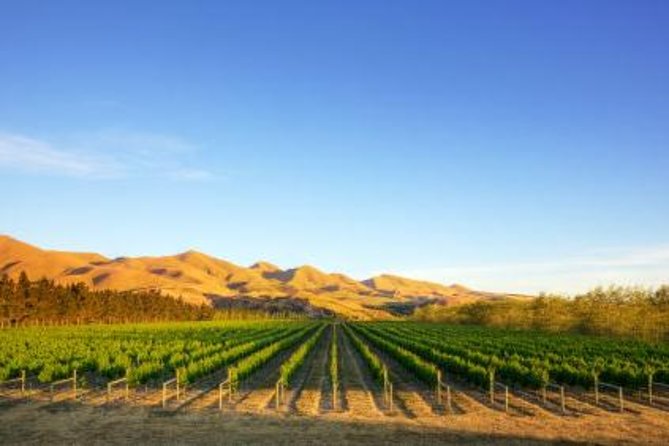 Waipara Wine Tour from Christchurch - including Lunch & Tastings - Why Waipara makes a smart Christchurch side trip
