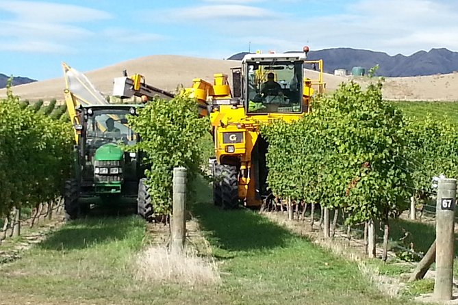 Waipara Wine Tour from Christchurch - including Lunch & Tastings - Who will enjoy this afternoon most