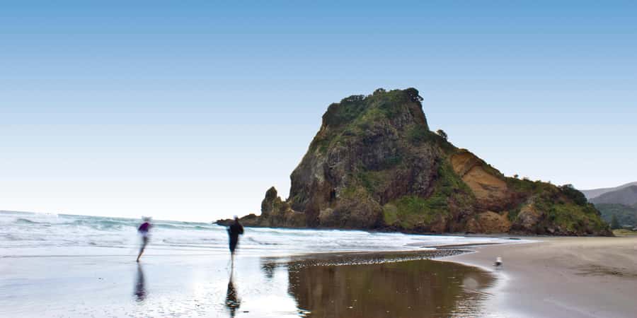 Waitakere Ranges Wilderness Experience Tour from Auckland - From Auckland streets to the Waitakere Ranges