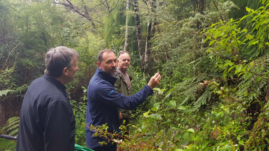 Waitakere Ranges Wilderness Experience Tour from Auckland - Piha Beach and Auckland’s wild west coast
