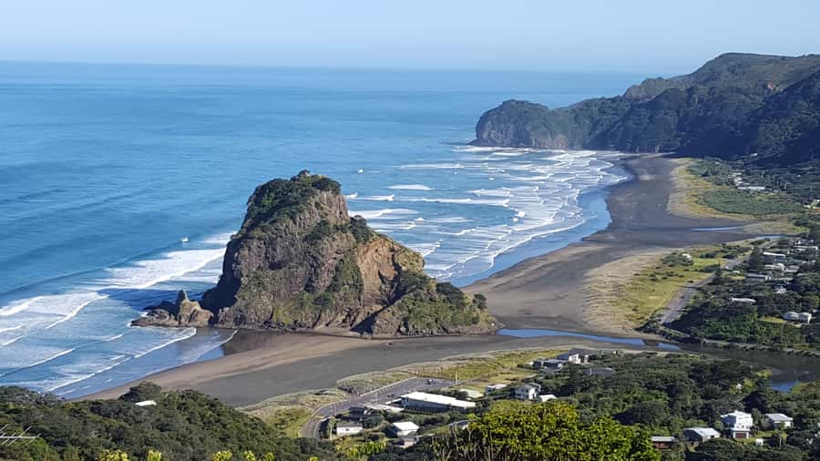 Waitakere Ranges Wilderness Experience Tour from Auckland - Who will get the most from this half-day trip?