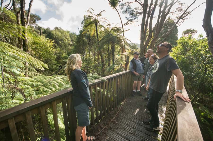Waitakere Ranges Wilderness Experience Tour from Auckland - Should you book the Waitakere Ranges Wilderness Experience?