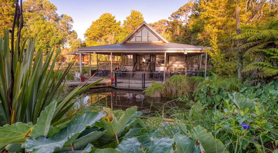 Waitangi Treaty Grounds: 2-Day Pass - Read the story through two museums