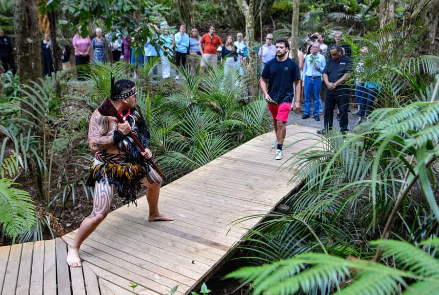 Waitangi: Treaty Grounds Hāngī and Concert Combo Pass - The underground hāngī reveal