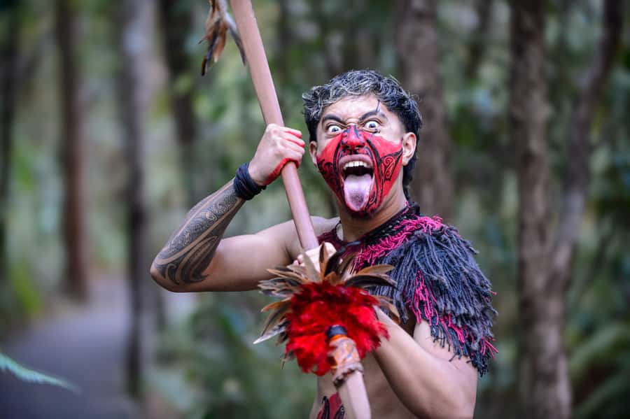 Waitangi: Treaty Grounds Hāngī and Concert Combo Pass - Return to the café for a full buffet