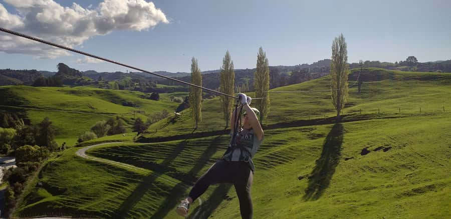 Waitomo Caves 1-Kilometer-Long Zipline Tour - Waitomo Lookout Point and the wider view