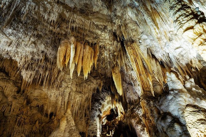 Waitomo Caves & Rotorua - Te Puia Small-Group Tour from Auckland - Waikato countryside, Pirongia, and Otorohanga