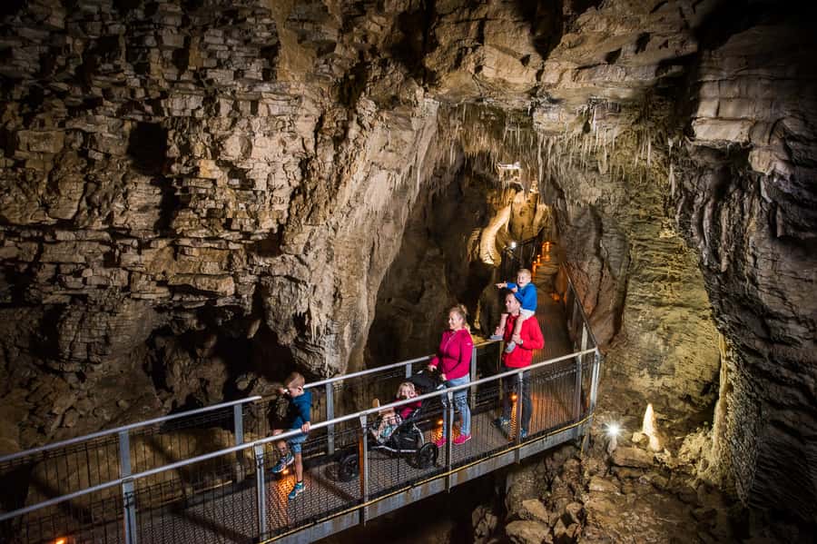 Waitomo Caves: Ruakuri Cave 1.5 Hour Guided Tour - Is $66 a fair price?