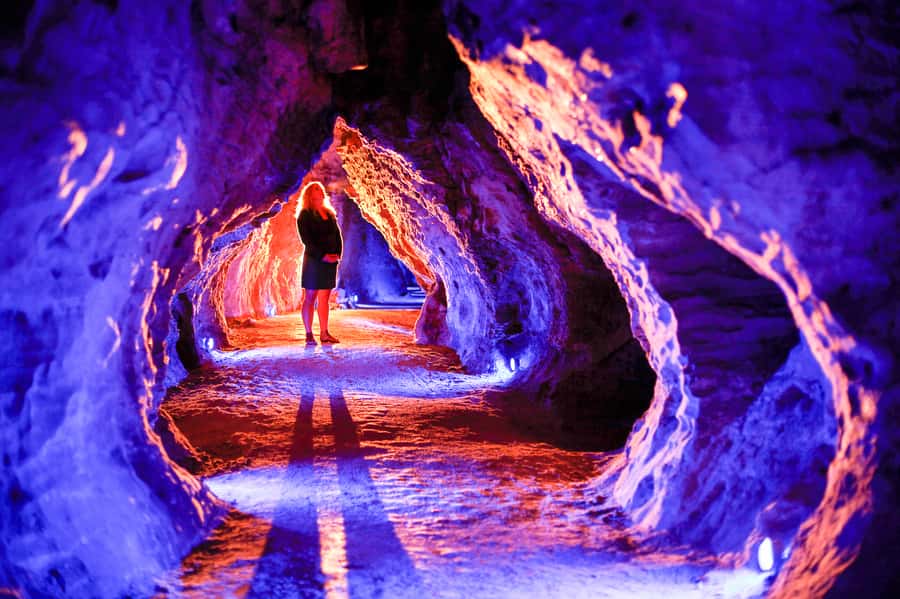 Waitomo Caves: Ruakuri Cave 1.5 Hour Guided Tour - What makes Ruakuri Cave different