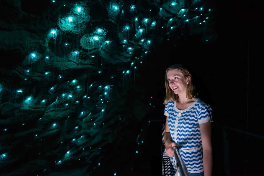 Waitomo Caves: Ruakuri Cave 1.5 Hour Guided Tour - The spiral entrance and first chamber