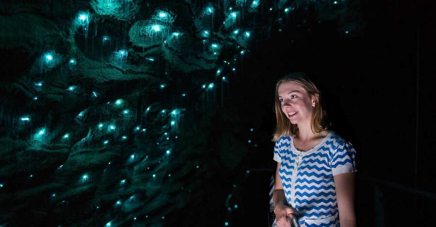 Waitomo Caves: Ruakuri Cave 1.5 Hour Guided Tour - Glowworms up close, with realistic expectations