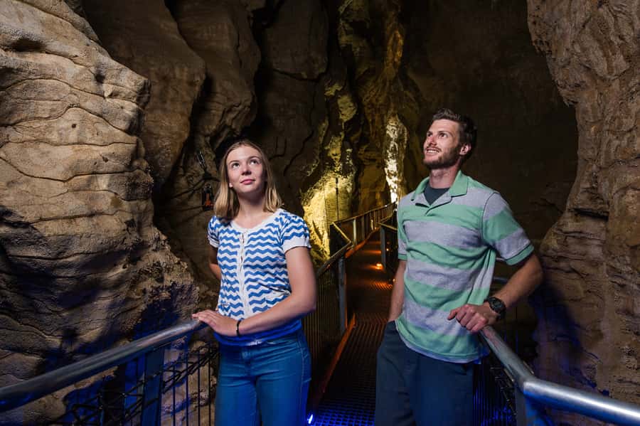 Waitomo Caves: Ruakuri Cave 1.5 Hour Guided Tour - Reaching the Ruakuri Scenic Reserve
