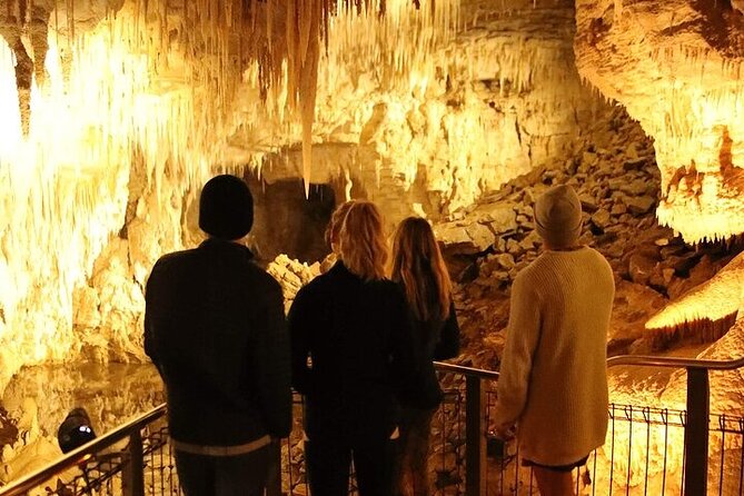 Waitomo Glow Worm Caves - Who will enjoy this Waitomo day trip