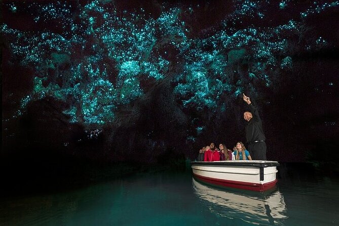 Waitomo Glow Worm Caves - Leaving Auckland for South Auckland and Waikato