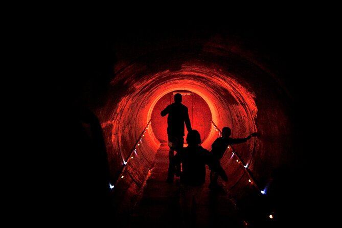 Waitomo Glowworm Caves and Kiwi House Small Group from Auckland - Is $216.40 a fair price?