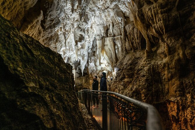 Waitomo Glowworm Caves and Kiwi House Small Group from Auckland - Practical details worth knowing