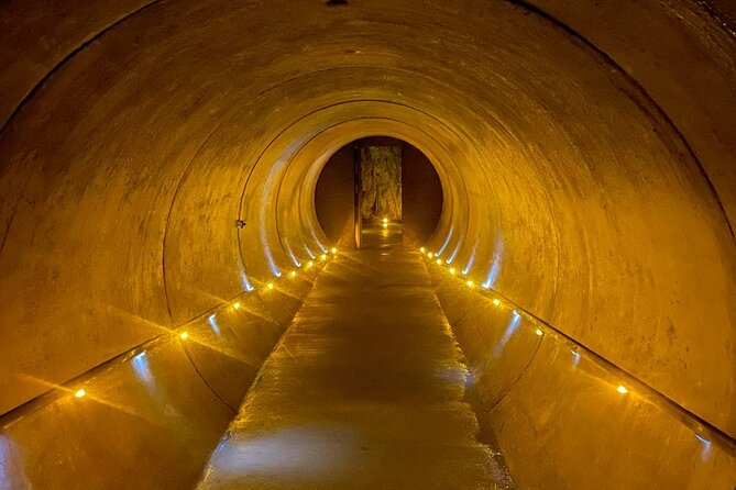 Waitomo Glowworm Caves and Kiwi House Small Group from Auckland - Otorohanga lunch, with the bill left to you