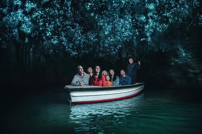 Waitomo Glowworm Caves Guided Tour - Why Waitomo’s glowworms are worth seeing
