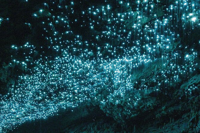 Waitomo Glowworm Caves Guided Tour - What the guide adds to the experience