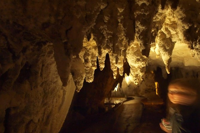 Waitomo Glowworm Caves In a Private Small Group Tour-Auckland. - Why the Waitomo glowworms are worth the long ride