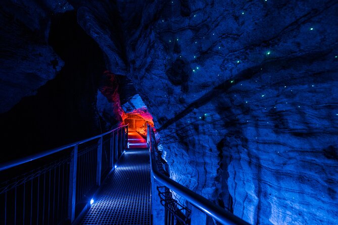 Waitomo Glowworm & Ruakuri Twin Cave - Private Tour From Auckland - Why Waitomo is worth the long day from Auckland