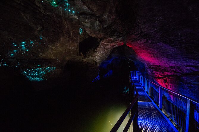 Waitomo Glowworm & Ruakuri Twin Cave - Private Tour From Auckland - Leaving Auckland at 6:30 a.m.