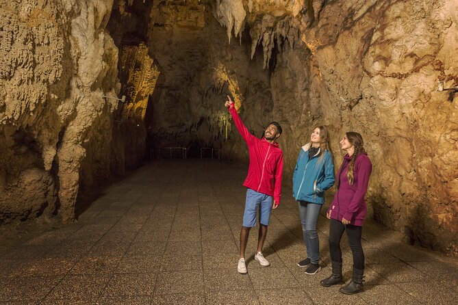 Waitomo Glowworm & Ruakuri Twin Cave Small Group Tour Ex-Auckland - The 45-minute Waitomo Glowworm Cave visit