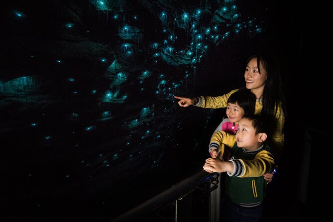 Waitomo Glowworm & Ruakuri Twin Cave Small Group Tour Ex-Auckland - What the guides add to a long day