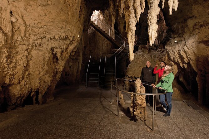 Waitomo Glowworm & Ruakuri Twin Cave Small Group Tour Ex-Auckland - What to pack and how to prepare