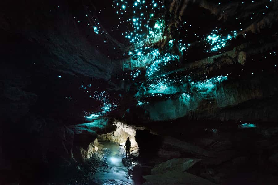 Waitomo: Guided Eco-Cave Tour - Key points to know before you book