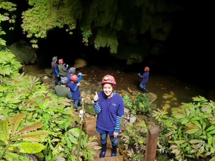 Waitomo: Guided Eco-Cave Tour - Two hours underground with glowworms overhead