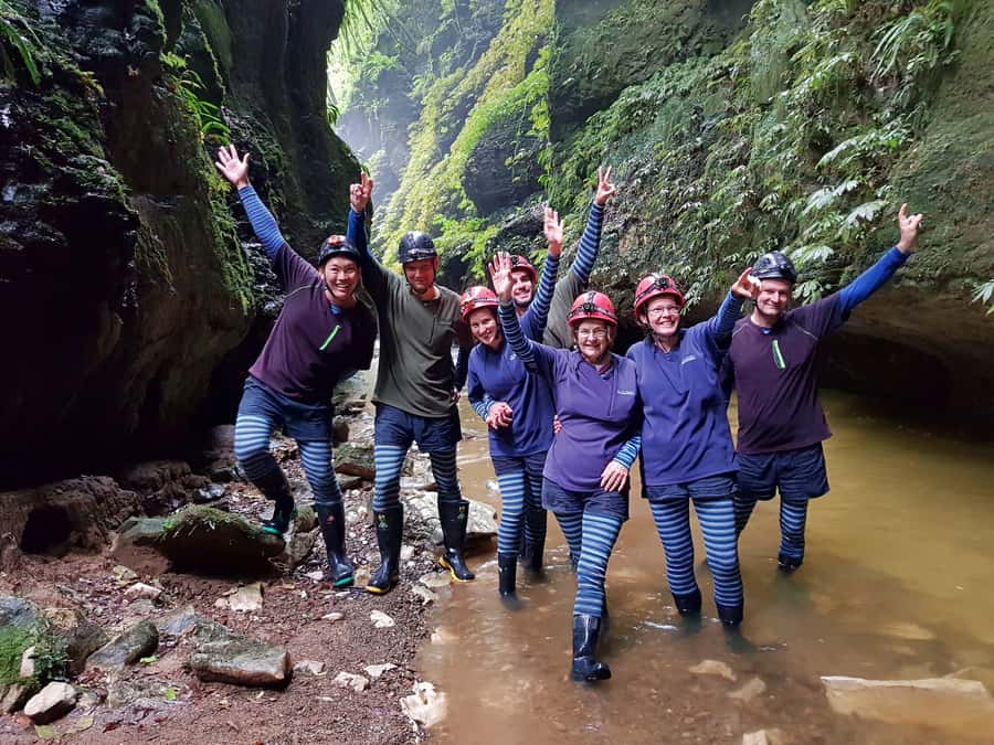 Waitomo: Guided Eco-Cave Tour - Is $130 good value?