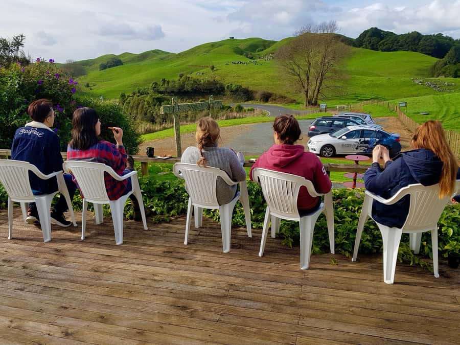 Waitomo: Guided Eco-Cave Tour - Weather, water levels, and cancellation risk