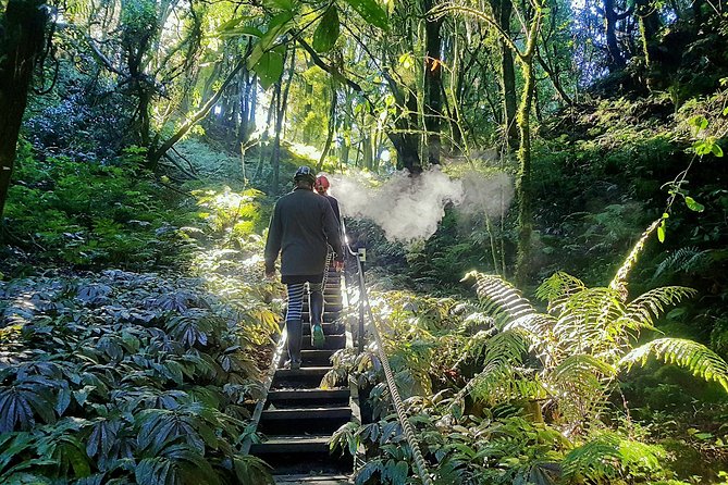 Waitomo’s Hidden Gem: Small-Group Off the Beaten Track Tour - Key points to know before booking