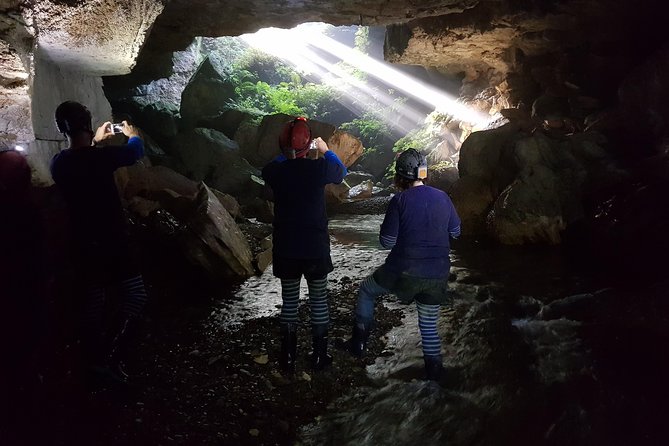 Waitomo’s Hidden Gem: Small-Group Off the Beaten Track Tour - The return walk and the well-earned tea break