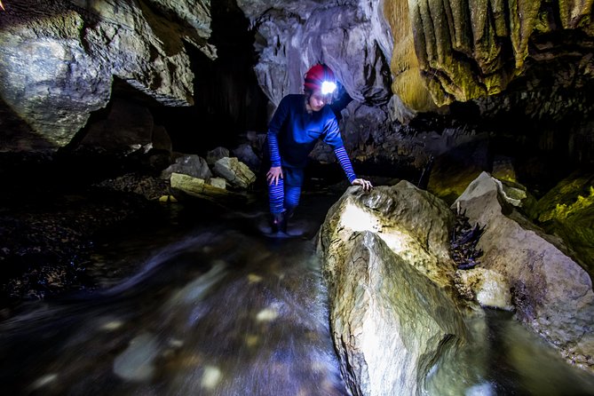 Waitomo’s Hidden Gem: Small-Group Off the Beaten Track Tour - How much value do you get for $135.91?