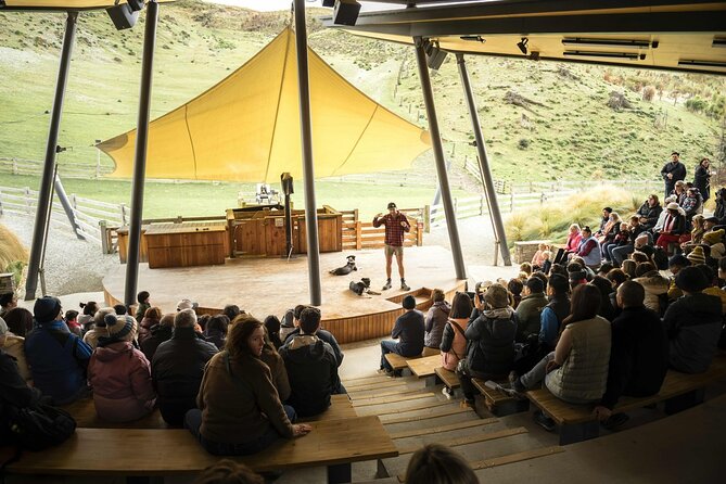 Walter Peak Gourmet BBQ Lunch & Queenstown Lake Cruise - The farm show with sheepdogs and shearing