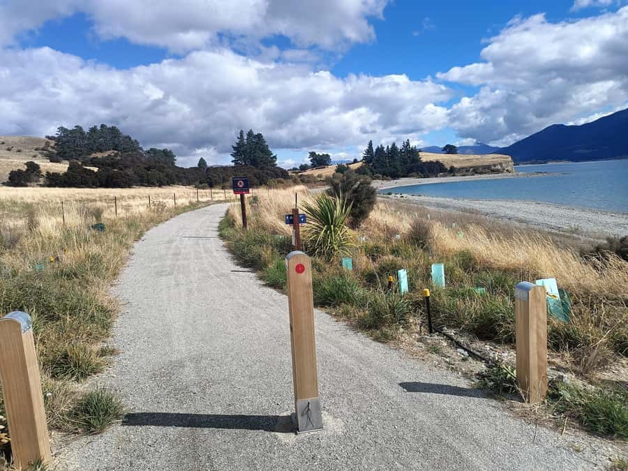 Wānaka And Hāwea: Trail Ride on Bike or E-Bike - The Clutha River section is more demanding
